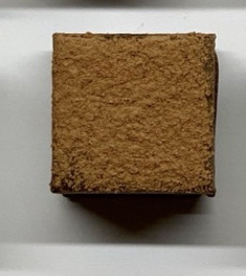A single truffle showing the cocoa coating